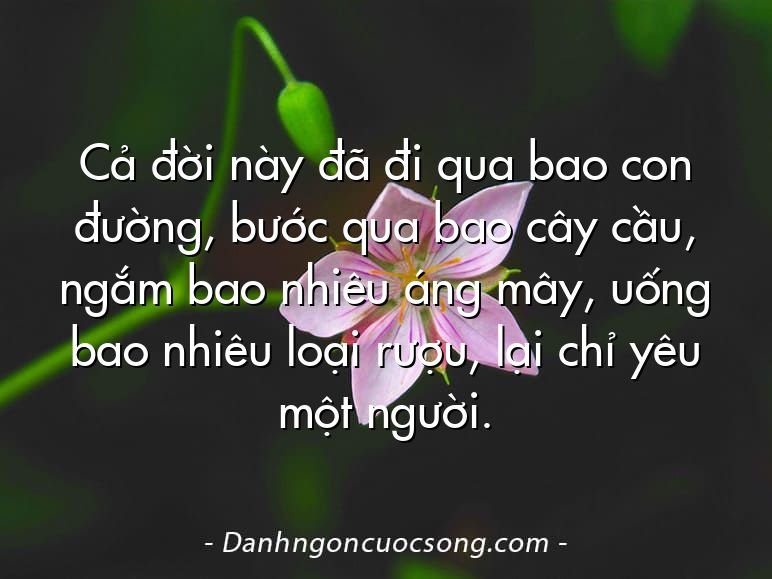 Cả đời này đã đi qua bao con đường, bước qua bao cây cầu, ngắm bao nhiêu áng mây, uống bao nhiêu loại rượu, lại chỉ yêu một người.