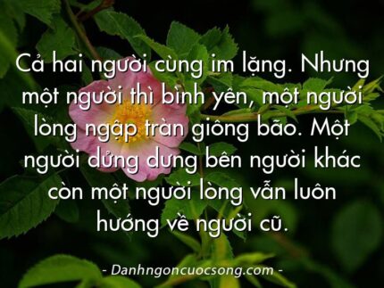 Cả hai người cùng im lặng. Nhưng một người thì bình yên, một người lòng ngập tràn giông bão. Một người dửng dưng bên người khác còn một người lòng vẫn luôn hướng về người cũ.