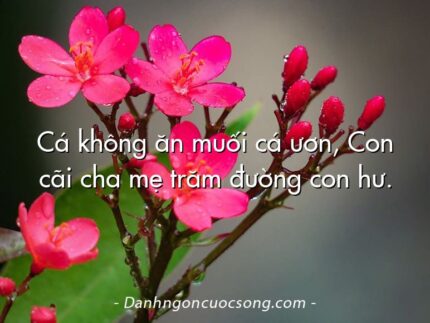 Cá không ăn muối cá ươn, Con cãi cha mẹ trăm đường con hư.