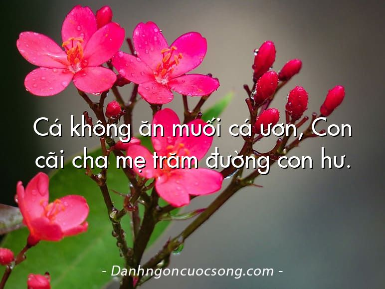 Cá không ăn muối cá ươn, Con cãi cha mẹ trăm đường con hư.