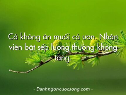Cá không ăn muối cá ươn. Nhân viên bật sếp lương thường không tăng.