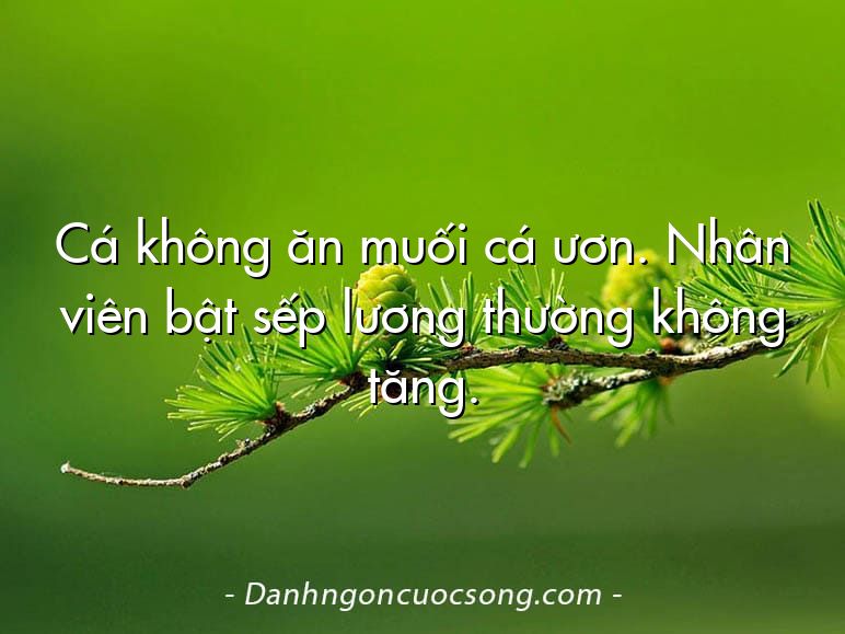Cá không ăn muối cá ươn. Nhân viên bật sếp lương thường không tăng.
