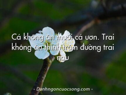 Cá không ăn muối cá ươn. Trai không ăn thính trăm đường trai ngu