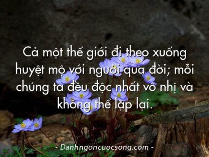 Cả một thế giới đi theo xuống huyệt mộ với người qua đời; mỗi chúng ta đều độc nhất vô nhị và không thể lặp lại.