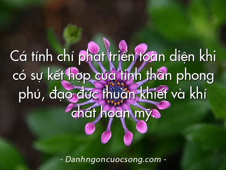 Cá tính chỉ phát triển toàn diện khi có sự kết hợp của tinh thần phong phú, đạo đức thuần khiết và khí chất hoàn mỹ.