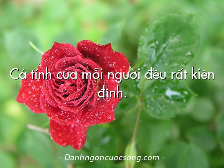 Cá tính của mỗi người đều rất kiên định.