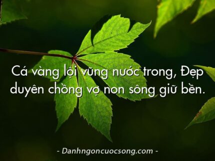 Cá vàng lội vũng nước trong, Đẹp duyên chồng vợ non sông giữ bền.