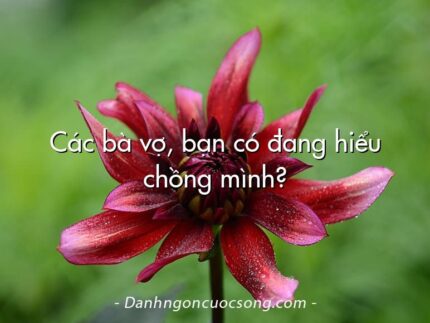Các bà vợ, bạn có đang hiểu chồng mình?