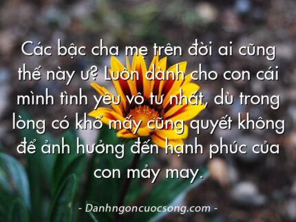 Các bậc cha mẹ trên đời ai cũng thế này ư? Luôn dành cho con cái mình tình yêu vô tư nhất, dù trong lòng có khổ mấy cũng quyết không để ảnh hưởng đến hạnh phúc của con mảy may.