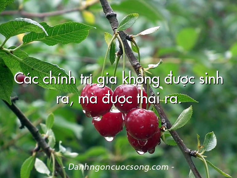 Các chính trị gia không được sinh ra, mà được thải ra.
