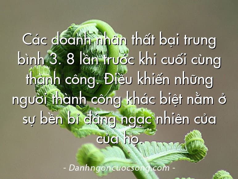 Các doanh nhân thất bại trung bình 3. 8 lần trước khi cuối cùng thành công. Điều khiến những người thành công khác biệt nằm ở sự bền bỉ đáng ngạc nhiên của của họ.