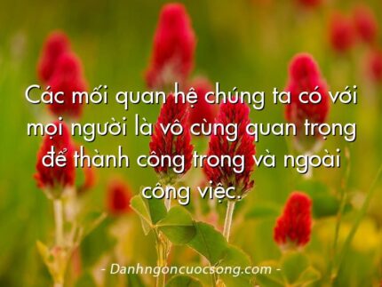Các mối quan hệ chúng ta có với mọi người là vô cùng quan trọng để thành công trong và ngoài công việc.