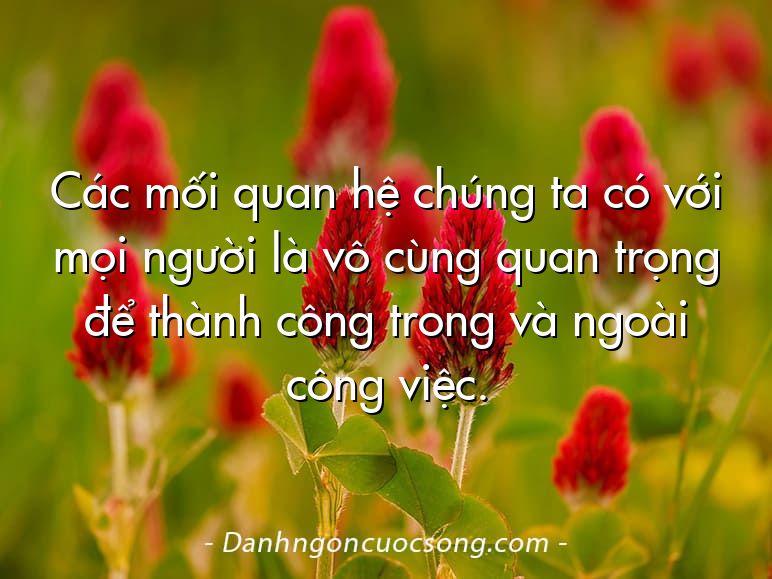Các mối quan hệ chúng ta có với mọi người là vô cùng quan trọng để thành công trong và ngoài công việc.