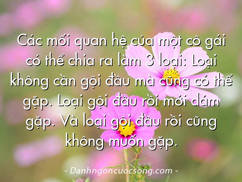 Các mối quan hệ của một cô gái có thể chia ra làm 3 loại: Loại không cần gội đầu mà cũng có thể gặp. Loại gội đầu rồi mới dám gặp. Và loại gội đầu rồi cũng không muốn gặp.