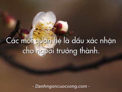 Các mối quan hệ là dấu xác nhận cho người trưởng thành.