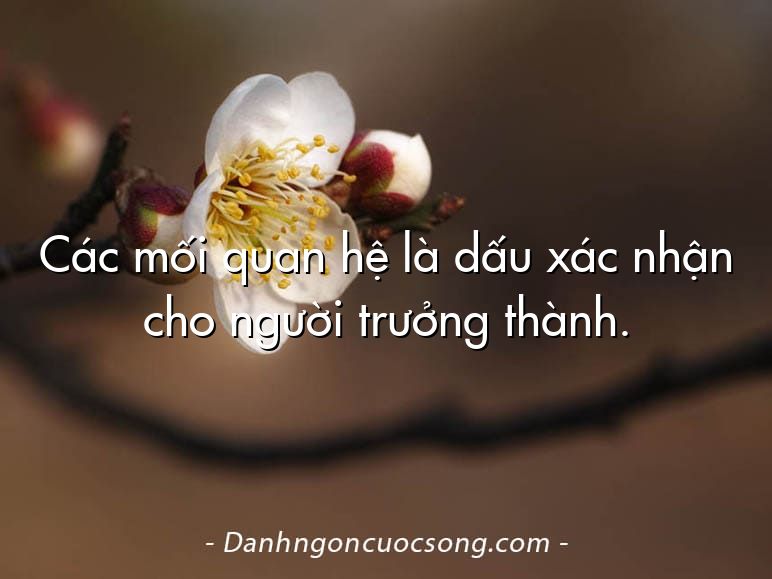 Các mối quan hệ là dấu xác nhận cho người trưởng thành.