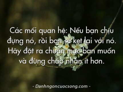 Các mối quan hệ: Nếu bạn chịu đựng nó, rồi bạn sẽ kẹt lại với nó. Hãy đặt ra chuẩn mực bạn muốn và đừng chấp nhận ít hơn.