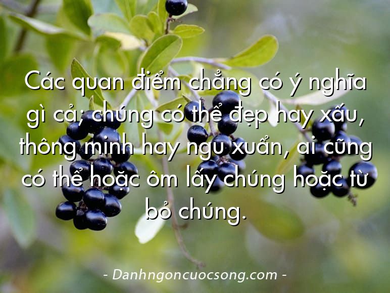 Các quan điểm chẳng có ý nghĩa gì cả; chúng có thể đẹp hay xấu, thông minh hay ngu xuẩn, ai cũng có thể hoặc ôm lấy chúng hoặc từ bỏ chúng.