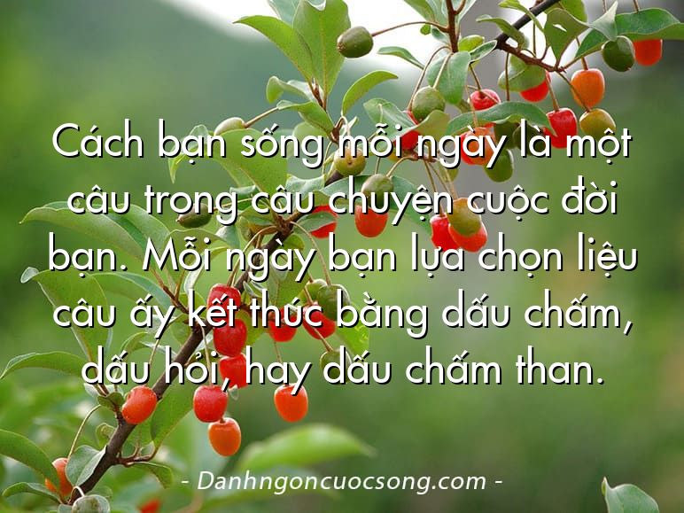 Cách bạn sống mỗi ngày là một câu trong câu chuyện cuộc đời bạn. Mỗi ngày bạn lựa chọn liệu câu ấy kết thúc bằng dấu chấm, dấu hỏi, hay dấu chấm than.