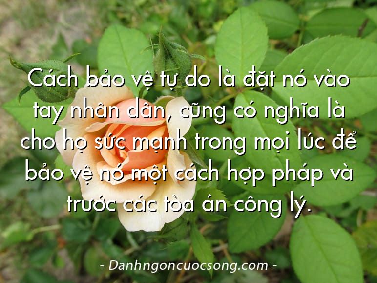 Cách bảo vệ tự do là đặt nó vào tay nhân dân, cũng có nghĩa là cho họ sức mạnh trong mọi lúc để bảo vệ nó một cách hợp pháp và trước các tòa án công lý.
