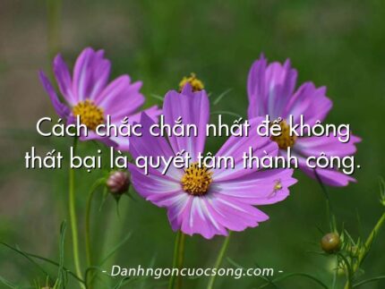 Cách chắc chắn nhất để không thất bại là quyết tâm thành công.