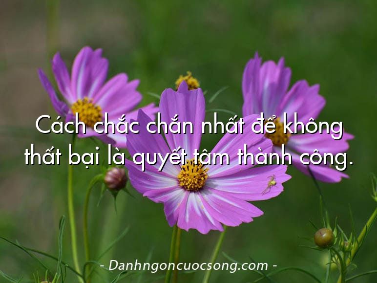 Cách chắc chắn nhất để không thất bại là quyết tâm thành công.