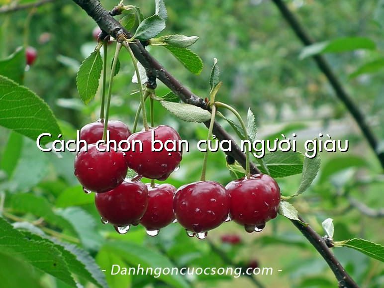 Cách chọn bạn của người giàu