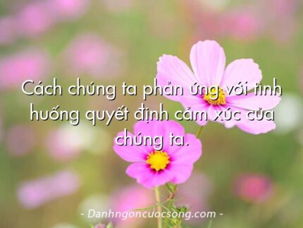 Cách chúng ta phản ứng với tình huống quyết định cảm xúc của chúng ta.
