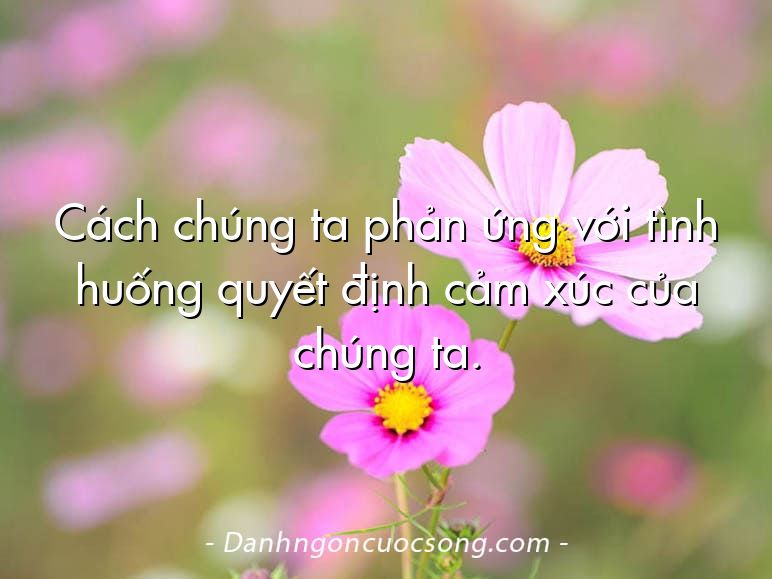 Cách chúng ta phản ứng với tình huống quyết định cảm xúc của chúng ta.