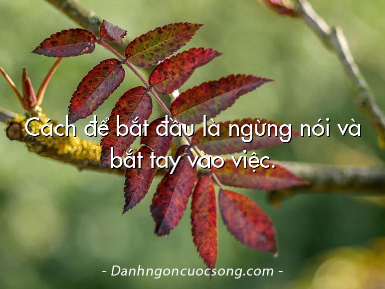 Cách để bắt đầu là ngừng nói và bắt tay vào việc.