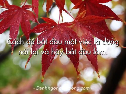 Cách để bắt đầu một việc là dừng nói lại và hãy bắt đầu làm.