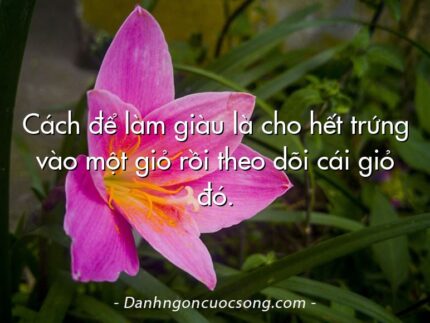 Cách để làm giàu là cho hết trứng vào một giỏ rồi theo dõi cái giỏ đó.