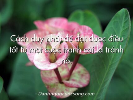 Cách duy nhất để đạt được điều tốt từ một cuộc tranh cãi là tránh nó.