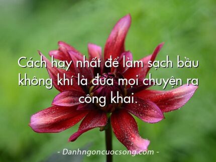 Cách hay nhất để làm sạch bầu không khí là đưa mọi chuyện ra công khai.
