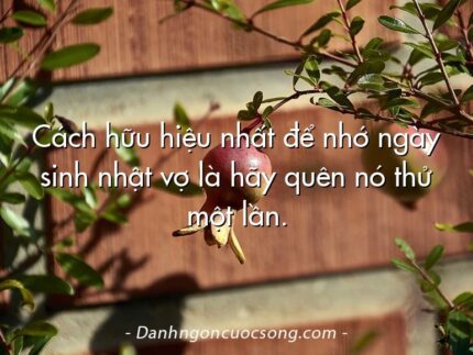 Cách hữu hiệu nhất để nhớ ngày sinh nhật vợ là hãy quên nó thử một lần.
