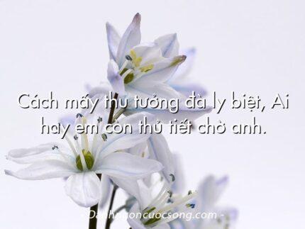 Cách mấy thu tưởng đà ly biệt, Ai hay em còn thủ tiết chờ anh.