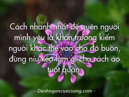 Cách nhanh nhất để quên người mình yêu là khẩn trương kiếm người khác thế vào cho đỡ buồn, đừng níu kéo làm gì cho rách áo tuột quần.