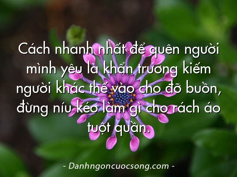 Cách nhanh nhất để quên người mình yêu là khẩn trương kiếm người khác thế vào cho đỡ buồn, đừng níu kéo làm gì cho rách áo tuột quần.