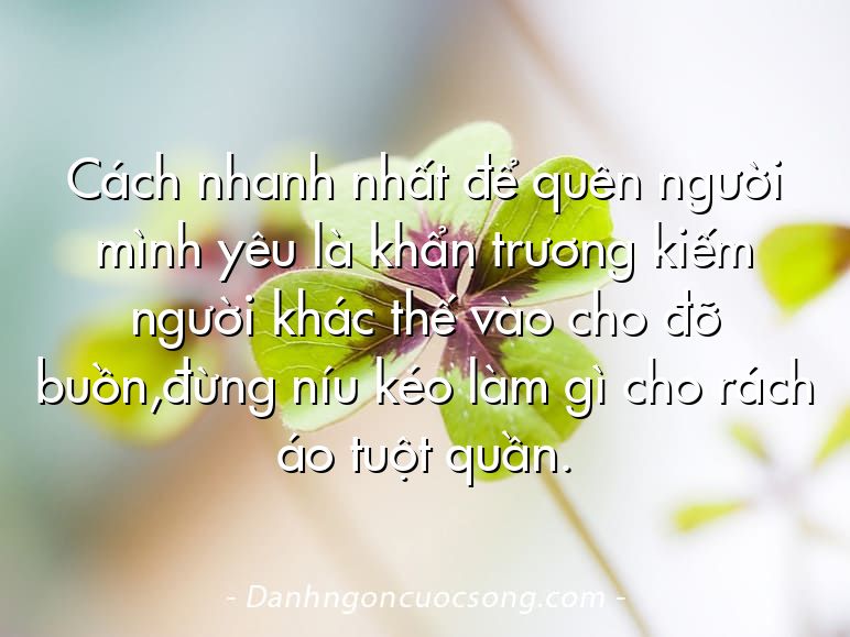 Cách nhanh nhất để quên người mình yêu là khẩn trương kiếm người khác thế vào cho đỡ buồn,đừng níu kéo làm gì cho rách áo tuột quần.