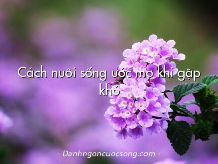 Cách nuôi sống ước mơ khi gặp khó
