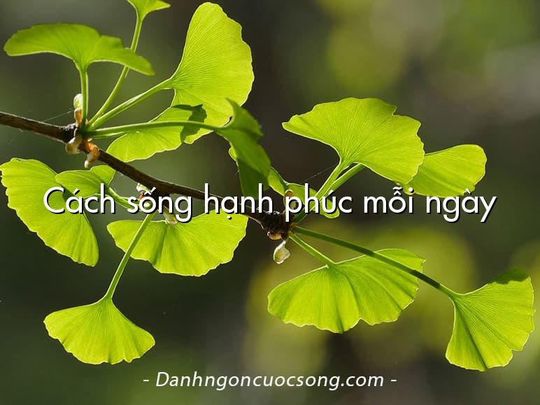 Cách sống hạnh phúc mỗi ngày