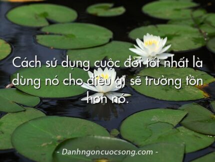 Cách sử dụng cuộc đời tốt nhất là dùng nó cho điều gì sẽ trường tồn hơn nó.