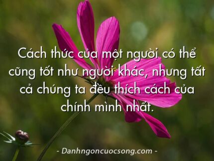 Cách thức của một người có thể cũng tốt như người khác, nhưng tất cả chúng ta đều thích cách của chính mình nhất.
