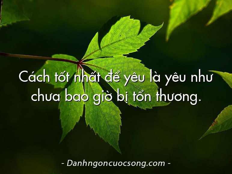 Cách tốt nhất để yêu là yêu như chưa bao giờ bị tổn thương.