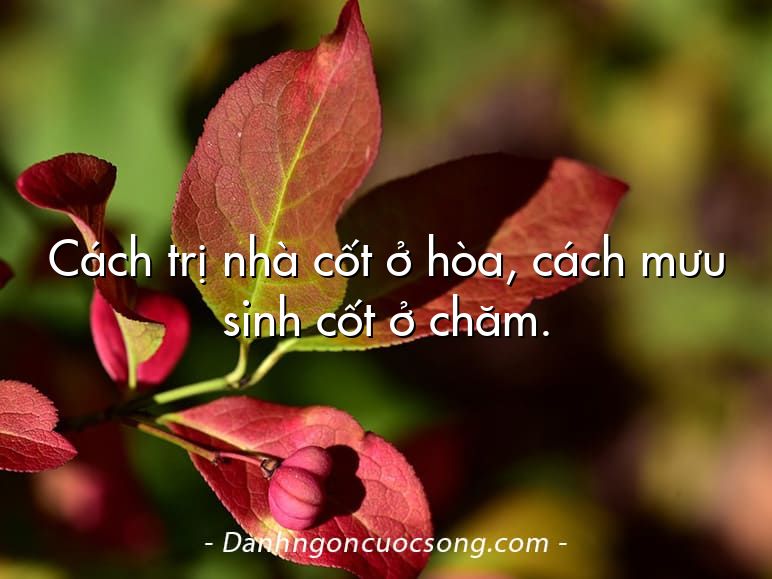 Cách trị nhà cốt ở hòa, cách mưu sinh cốt ở chăm.