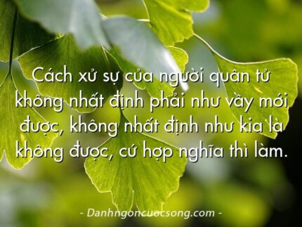 Cách xử sự của người quân tử không nhất định phải như vầy mới được, không nhất định như kia là không được, cứ hợp nghĩa thì làm.
