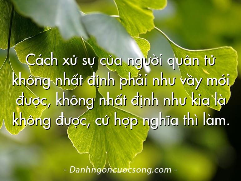 Cách xử sự của người quân tử không nhất định phải như vầy mới được, không nhất định như kia là không được, cứ hợp nghĩa thì làm.