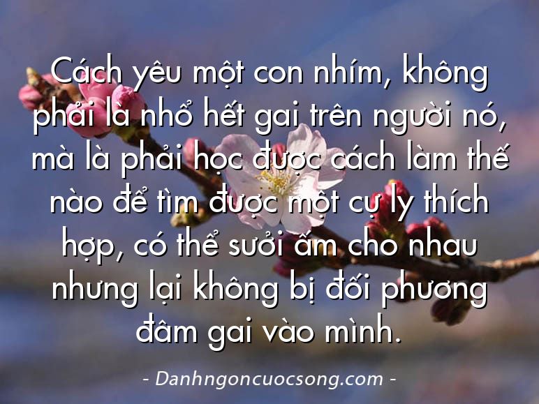 Cách yêu một con nhím, không phải là nhổ hết gai trên người nó, mà là phải học được cách làm thế nào để tìm được một cự ly thích hợp, có thể sưởi ấm cho nhau nhưng lại không bị đối phương đâm gai vào mình.