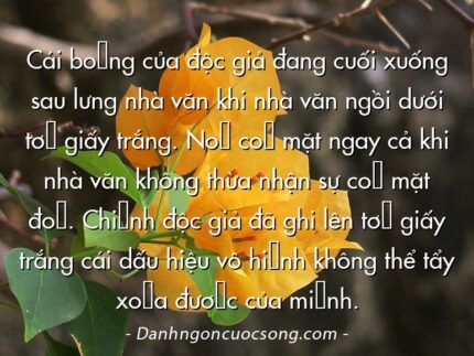 Cái bóng của độc giả đang cuối xuống sau lưng nhà văn khi nhà văn ngồi dưới tờ giấy trắng. Nó có mặt ngay cả khi nhà văn không thừa nhận sự có mặt đó. Chính độc giả đã ghi lên tờ giấy trắng cái dấu hiệu vô hình không thể tẩy xóa được của mình.