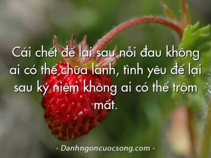 Cái chết để lại sau nỗi đau không ai có thể chữa lành, tình yêu để lại sau kỷ niệm không ai có thể trộm mất.